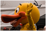 Fotojg