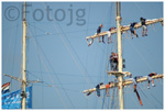 Fotojg