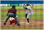 honkbalweek2008