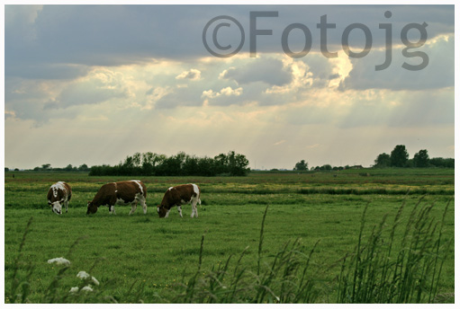 Landschapsfotografie - Fotojg