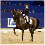 jumping2008